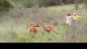 Hot Indian Hindi audio porn, old movies