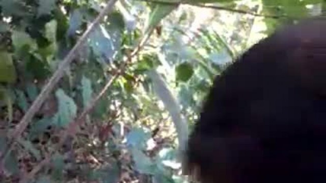 Indian Couple Village Desi Girl Sex Sucking Dick in the Farm